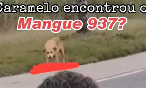 Mangue 937 – Descubra o Vídeo Original e se Surpreenda!.